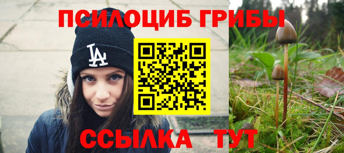 Галлюциногенные грибы Cubensis  Галлюциногенные грибы GOLDEN TEACHER  Вход с VPN  Златоуст 